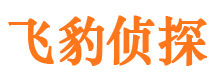 咸丰侦探公司